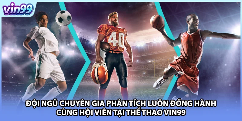 Đội ngũ chuyên gia phân tích luôn đồng hành cùng hội viên tại thể thao VIN99